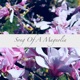Song of a Magnolia Single
