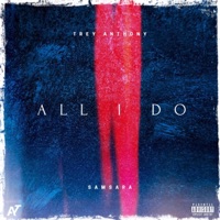 All I Do (feat. Samsara) - Single - Trey Anthony
