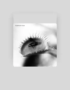 Listen to Trampoline Team, watch music videos, read bio, see tour dates & more!