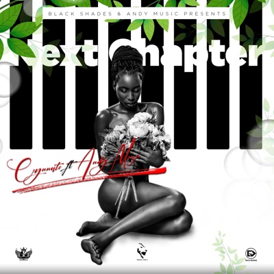 Next Chapter (feat. Andy Muzic) - Single
