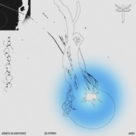 SONETO DE SVNTVCRVZ adieu