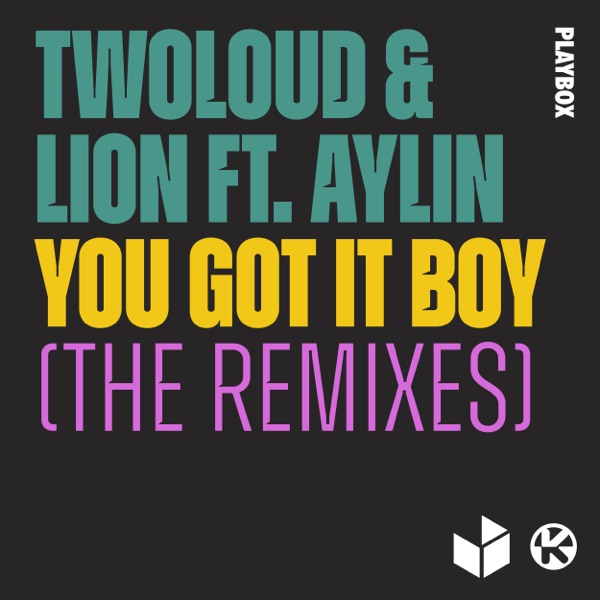 You Got It Boy (The Remixes) [feat. Aylin] - Single