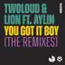 You Got It Boy (feat. Aylin) [VIP Mix] song reviews