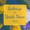 Buttercup but Upside Down Is There Too artwork