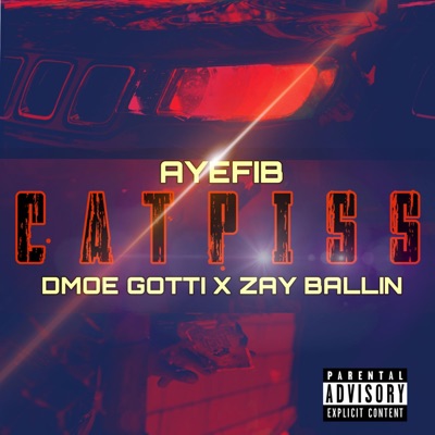 Catpiss (feat. D'moe Gotti & Zay Ballin') - Single
