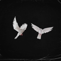 In seiner Hand (feat. SWEETBOYBLONDEY) - Single - GPC