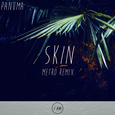 Skin (Metro Remix) - Single