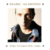Marc Almond & Gene Pitney - Something's Gotten Hold of My Heart artwork