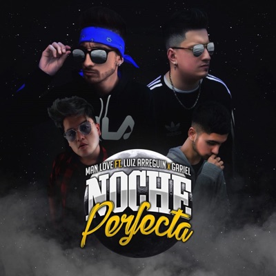 Noche Perfecta (feat. Gariel & Luiz Arreguin) - Single