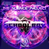 The Science Project artwork