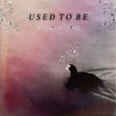 Used To Be (feat. Hi Honey) - Single