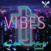 Vibes - Single - Authority Sound