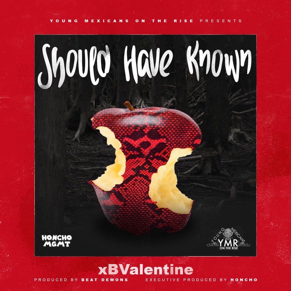Обложка альбома «Should Have Known (feat. Xbvalentine) - Single» — YMR Honcho