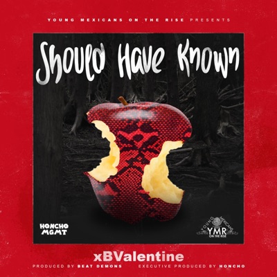 Should Have Known (feat. Xbvalentine) - Single