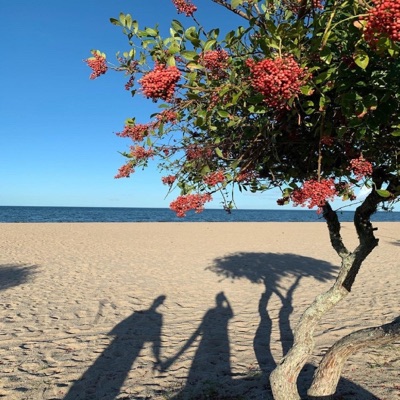 A Tal Morena - Single