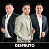 Disfruto - Single