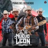 Puras Del Recuerdo