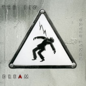 The Big Dream (Bonus Track Version) artwork