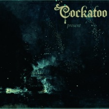 Cockatoo - Cautionary Tale