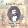 Strauss II: 100 Most Famous Works, Vol. 1