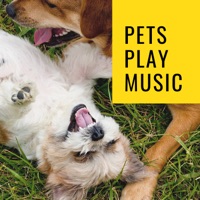 Pets Play Music - Cat Music, Music For Cats & Sleepy Dogs