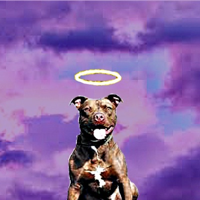 All Dawgs (feat. DJwhoshotit) - Single