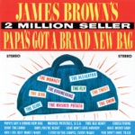 James Brown & The Famous Flames - Papa's Got a Brand New Bag, Pt. 1