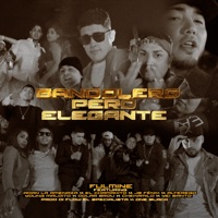 Bandolero Pero Elegante (feat. Young Maldito, Alterego, Yei Santo, Adan La Amenaza, JB Fénix, Chekamilo, El Chamakito & Dolar Brou) - Single - Fulmine