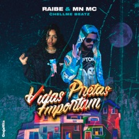 Vidas Pretas Importam (feat. MN MC) - Single - Raibe & GrajaHits