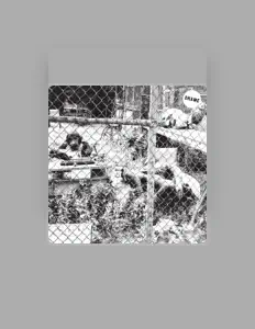 Drame सुनें, म्यूज़िक वीडियो देखें, बायो पढ़ें, दौरे की तारीखें और बहुत कुछ देखें!