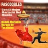 Pasodobles (Con El Mejor Mariachi Del Mundo)