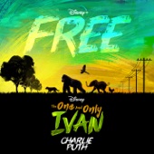 Free (From Disney's "The One and Only Ivan") artwork