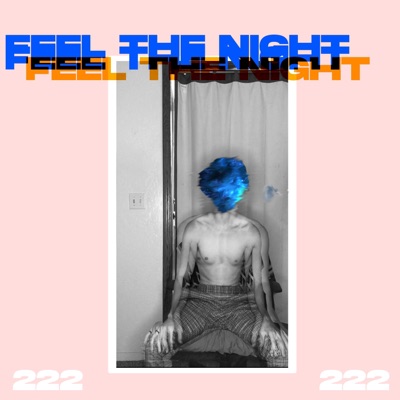 Feel the Night - Single