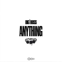 Anything - Single - Big Boss