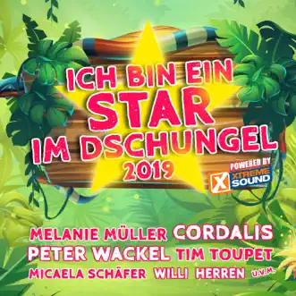 Ich bin ein Star im Dschungel 2019 powered by Xtreme Sound by Various Artists album reviews, ratings, credits