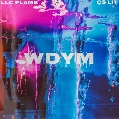 WDYM (feat. CS LIT) - Single