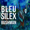 Bleu Silex