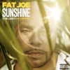 Fat Joe, DJ Khaled & Amorphous - Sunshine (The Light)  artwork