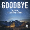 GoodBye (feat. Vishu & Garima) - Single