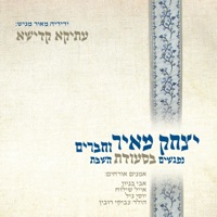 עתיקא קדישא - נפגשים בסעודת השבת - Yitzchak Meir