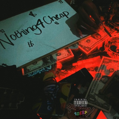 Nothing4cheap - Single