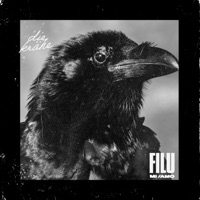Die Krähe - Single - Filu
