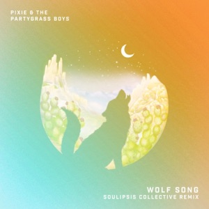 Wolf Song (Soulipsis Collective Remix) - Single