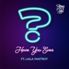 Have You Ever (feat. Laila Fantroy) - Single