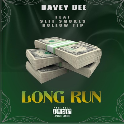 Long Run (feat. Seff Smokes & Hollow Tip) - Single
