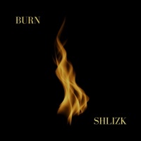 Burn - Single - Shlizk