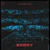 Stream & download Sorry