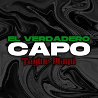 El Verdadero Capo - Single - Taylor Mami