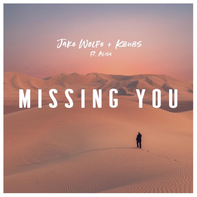 Missing You (feat. Alisa) - Single
