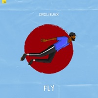 Fly - Single - Kwoli Black